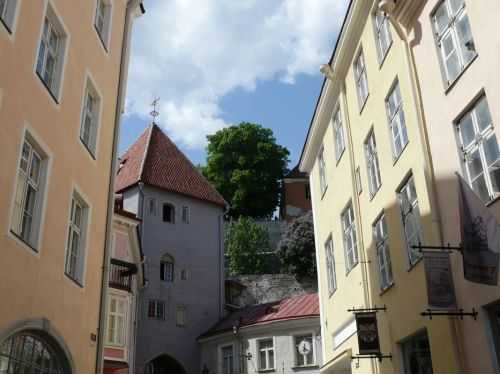 MARATONA DI TALLINN 2013